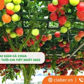 Cách làm giàn cà chua, lắp đặt thiết bị tưới chi tiết nhất 2023