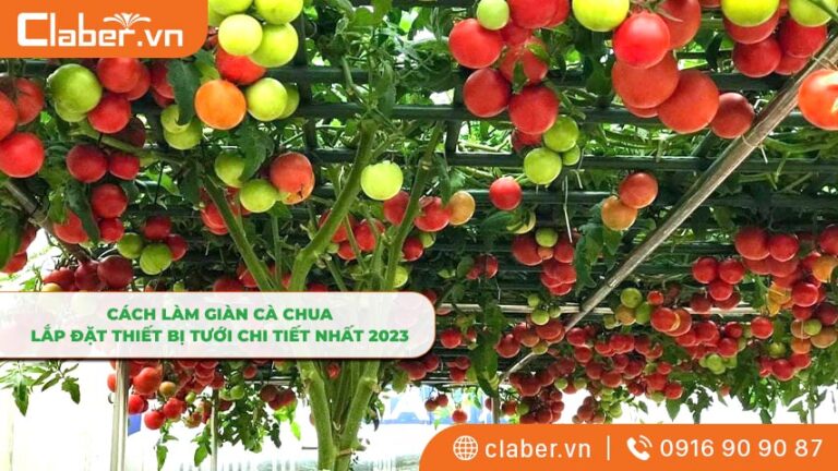 Cách làm giàn cà chua, lắp đặt thiết bị tưới chi tiết nhất 2023