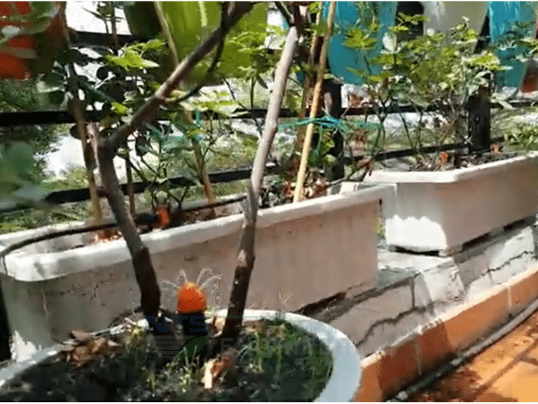 Hệ thống tưới nhỏ giọt cảnh quan – 3 lưu ý quan trọng nhất cho người tự lắp