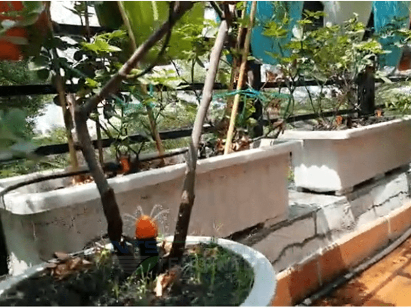 Hệ thống tưới nhỏ giọt cảnh quan – 3 lưu ý quan trọng nhất cho người tự lắp