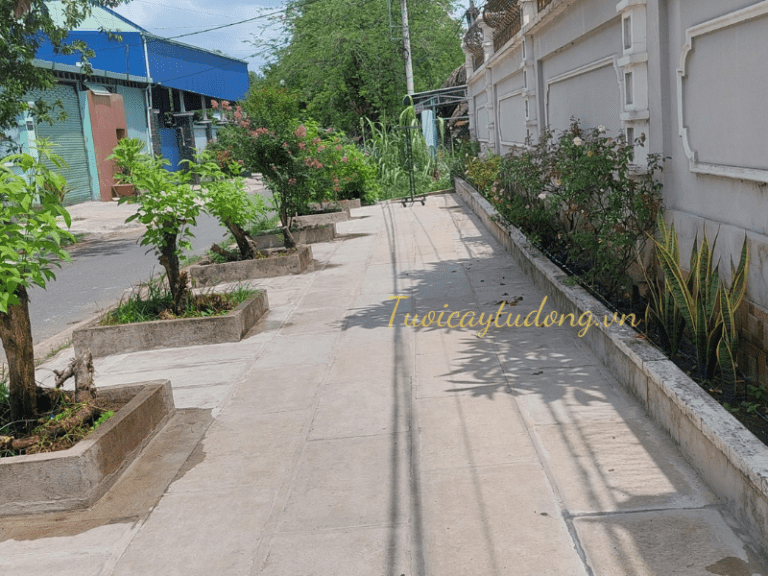 LẮP ĐẶT HỆ THỐNG TƯỚI TỰ ĐỘNG NHÀ KHÁCH HÀNG Ở CỦ CHI, HCM