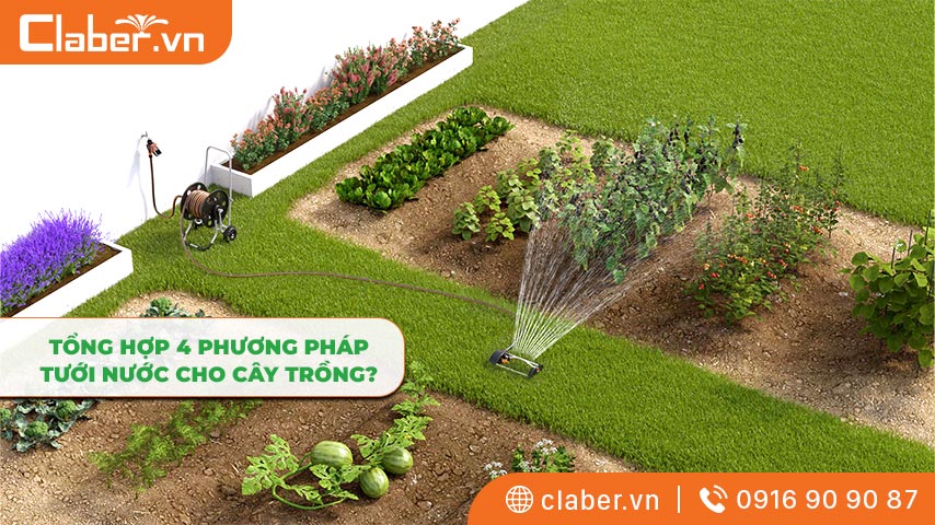 Tổng hợp 4 phương pháp tưới nước cho cây trồng?