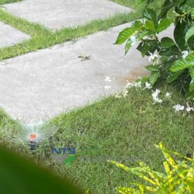 Top các loại béc tưới cỏ Popup, Rotor đến từ thương hiệu Claber thường được sử dụng nhất cho sân vườn biệt thự