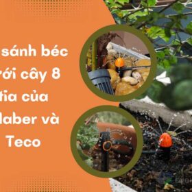 So sánh béc tưới cây 8 tia chân cắm của hãng Claber và Teco