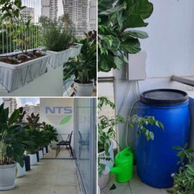 Tổng hợp các hệ thống tưới cây ban công NTS THI CÔNG mới nhất