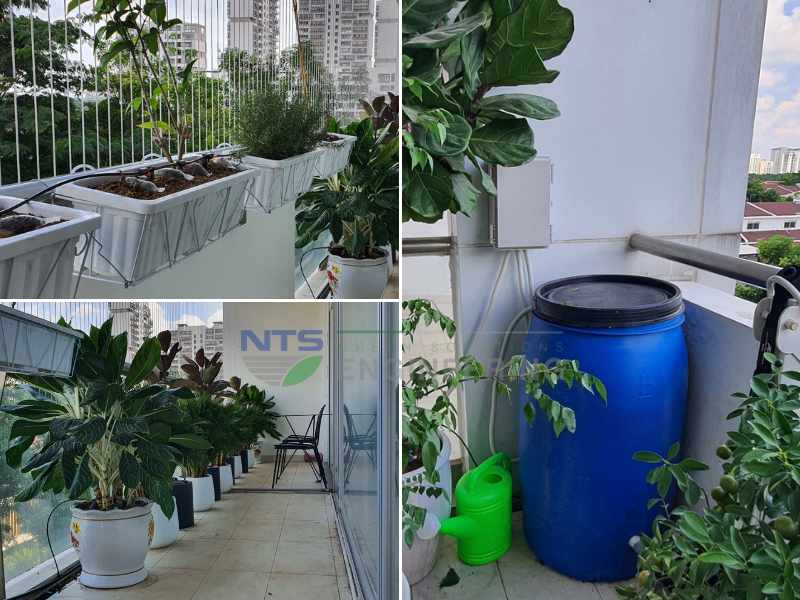 Tổng hợp các hệ thống tưới cây ban công NTS THI CÔNG mới nhất