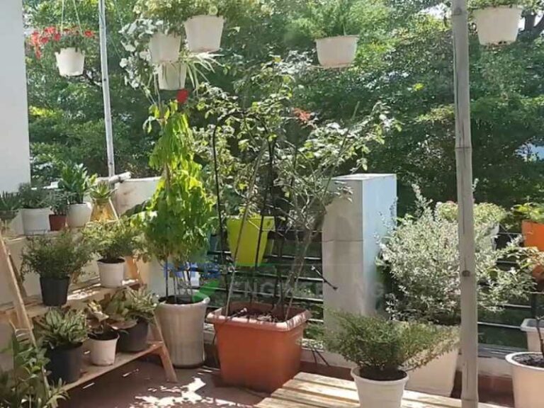 Những lưu ý cần biết khi lắp đặt hệ thống tưới cây tự động vườn mái cho người không chuyên