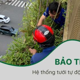 Bảo trì hệ thống tưới tự động tại quận 7, HCM