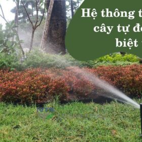 Hệ thống tưới cây tự động biệt thự – giải pháp hữu ích thời 4.0