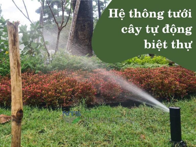 Hệ thống tưới cây tự động biệt thự – giải pháp hữu ích thời 4.0