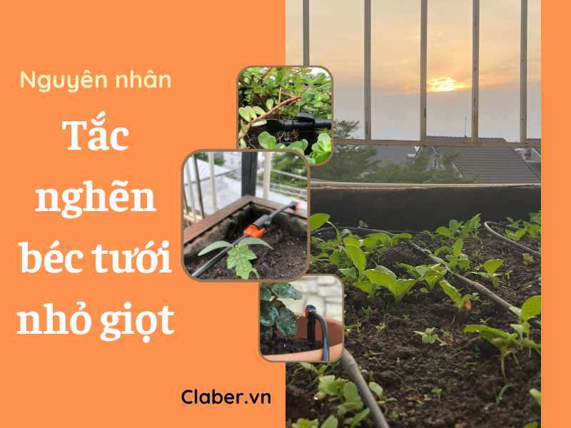 Top 5 sự cố gây nghẹt béc tưới nhỏ giọt