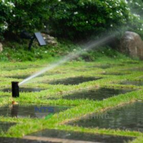 100+ từ vựng tiếng anh về chủ đề sân vườn