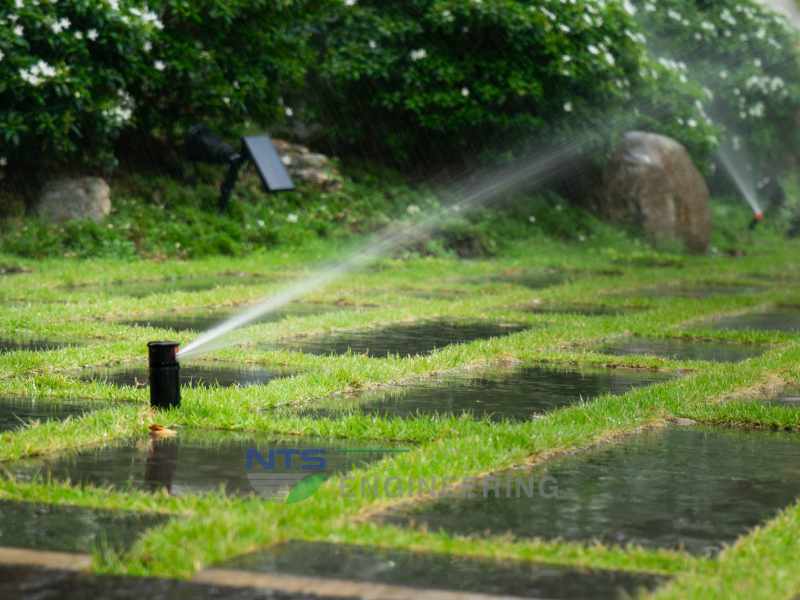 100+ từ vựng tiếng anh về chủ đề sân vườn