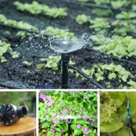 50+ từ vựng tiếng anh thiết yếu trong hệ thống tưới cây tự động
