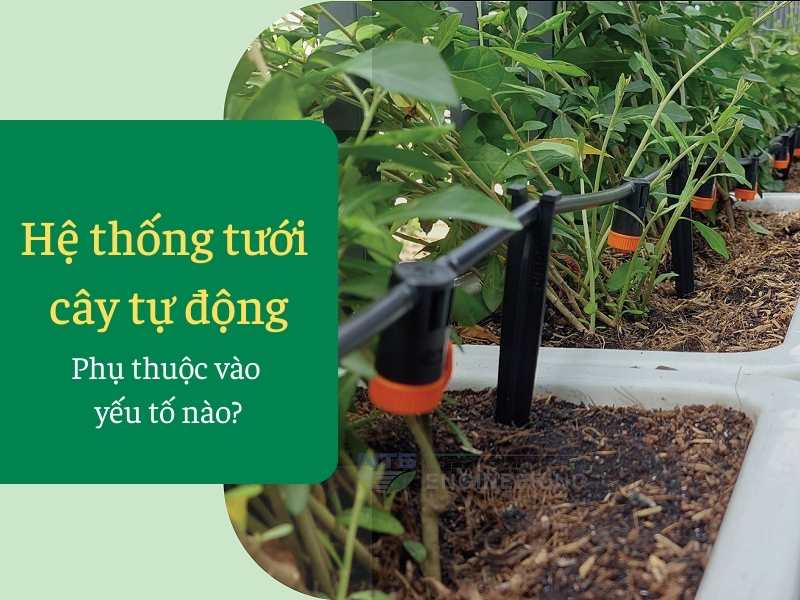 Yếu tố ảnh hưởng đến báo giá hệ thống tưới cây tự động