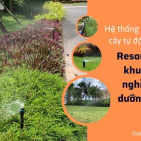 Thiếu hệ thống tưới cây tự động resort cao cấp – Nguyên nhân và giải pháp