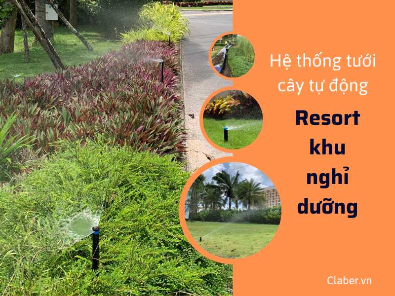 Thiếu hệ thống tưới cây tự động resort cao cấp – Nguyên nhân và giải pháp