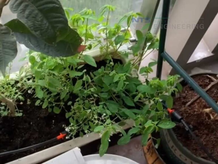 Khách hàng tự lắp hệ thống tưới cây tự động cho ban công nhà phố quận 7 HCM