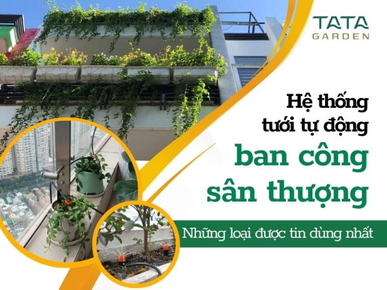 Hệ thống tưới tự động ban công, sân thượng nào được tin dùng nhất hiện nay?