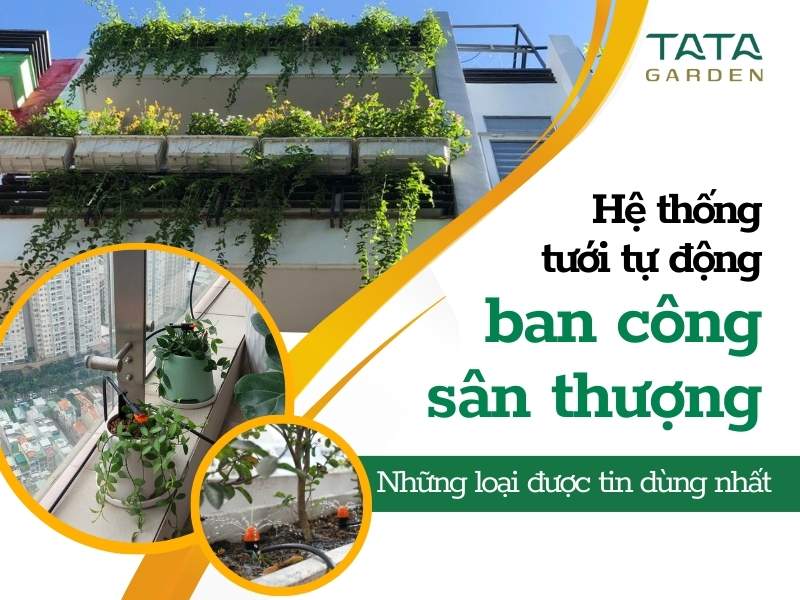 Hệ thống tưới tự động ban công, sân thượng nào được tin dùng nhất hiện nay?
