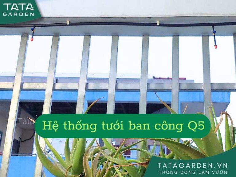 Lắp hệ thống tưới ban công kết hợp cho nhà khách tại Quận 5 HCM