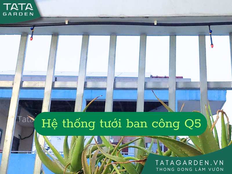 Lắp hệ thống tưới ban công kết hợp cho nhà khách tại Quận 5 HCM
