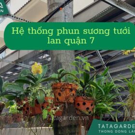 Lắp đặt hệ thống phun sương tưới lan tại quận 7 HCM