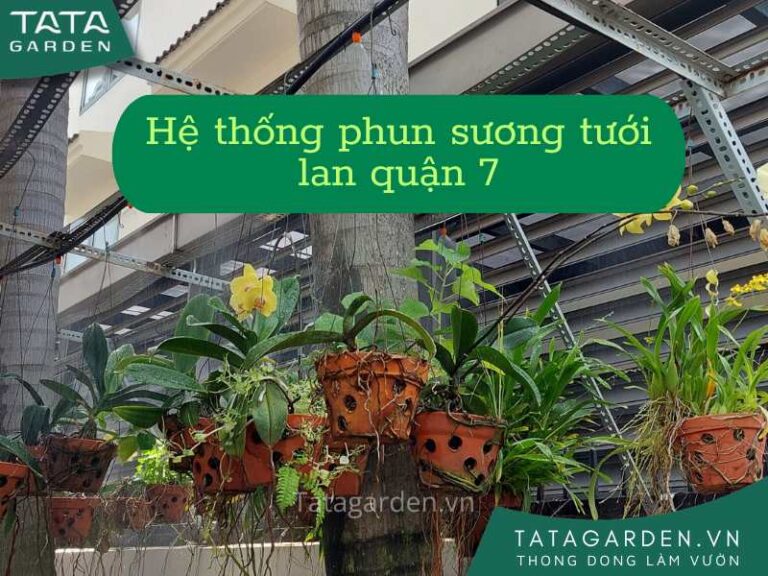 Lắp đặt hệ thống phun sương tưới lan tại quận 7 HCM