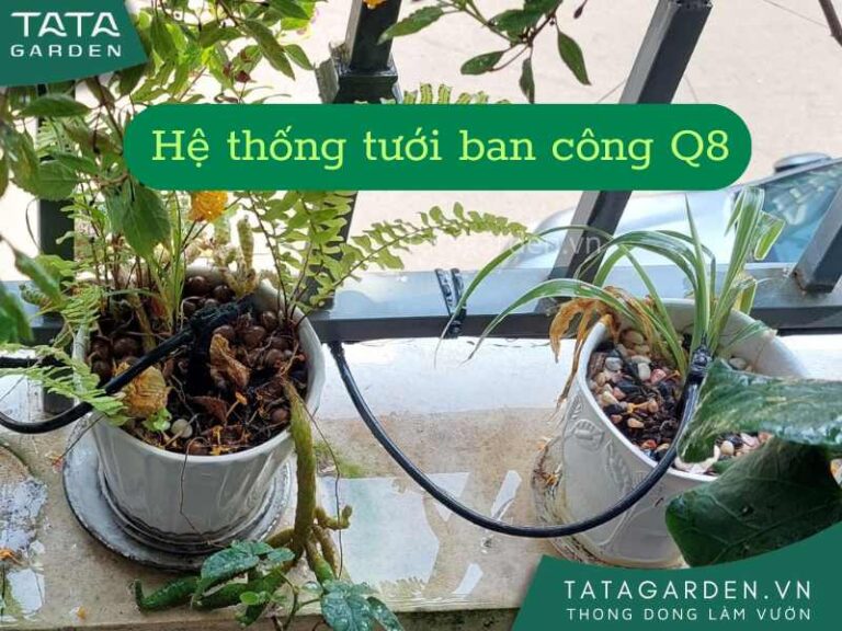 Thi công lắp đặt hệ thống tưới ban công nhà phố quận 8 Thành Phố Hồ Chí Minh