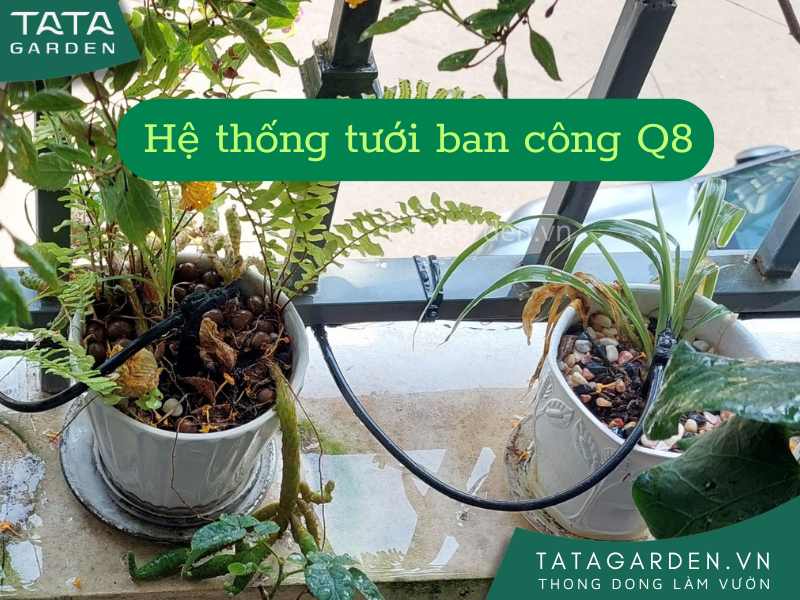 Thi công lắp đặt hệ thống tưới ban công nhà phố quận 8 Thành Phố Hồ Chí Minh