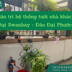 Bảo trì hệ thống tưới tự động sân vườn cho biệt thự tại khu đô thị Swan Bay –  Đồng Nai