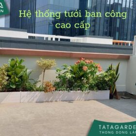 Lắp đặt hệ thống tưới nhỏ giọt cho nhà khách – đơn giản, chất lượng, bền bỉ