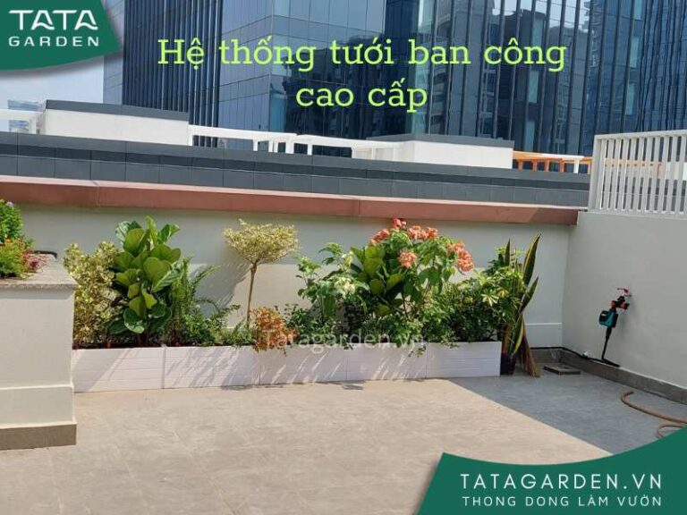 Lắp đặt hệ thống tưới nhỏ giọt cho nhà khách – đơn giản, chất lượng, bền bỉ