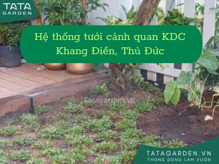 Thi công tưới cảnh quan sân vườn nhà phố tại KDC Khang Điền, Thủ Đức