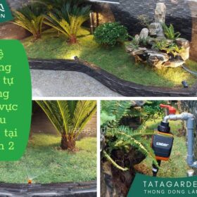 Thi công hệ thống tưới tự động cho tiểu cảnh tại quận 2 Hồ Chí Minh
