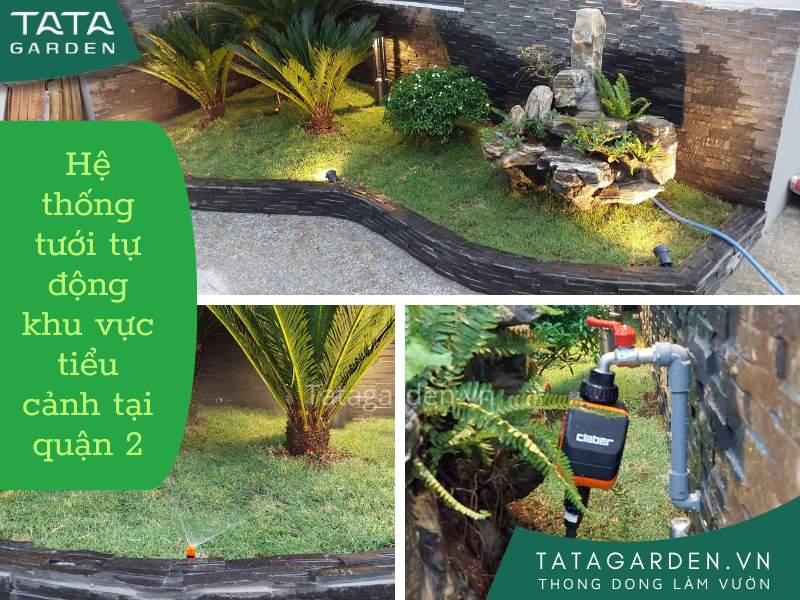 Thi công hệ thống tưới tự động cho tiểu cảnh tại quận 2 Hồ Chí Minh