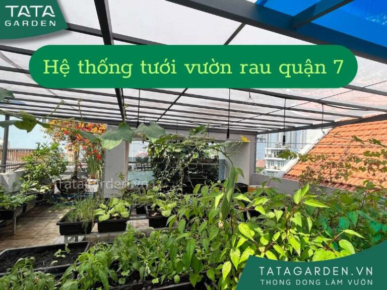 Lắp đặt hệ thống tưới cây cho sân thượng nhà phố quận 7 Hồ Chí Minh