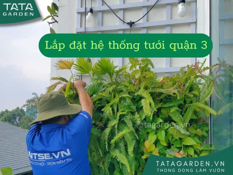 Thi công lắp đặt hệ thống tưới cây tự động quận 3
