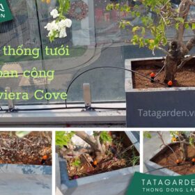 Lắp đặt hệ thống tưới ban công khu Riviera Cove Thành phố Thủ Đức – HCM