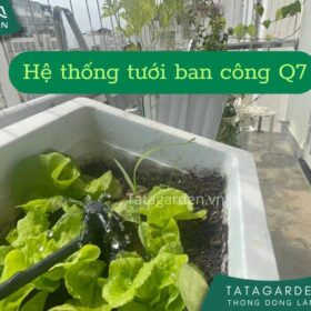Thi công lắp đặt hệ thống tưới tự động cho ban công nhà phố quận 7