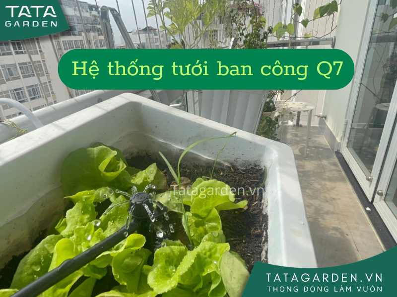 Thi công lắp đặt hệ thống tưới tự động cho ban công nhà phố quận 7