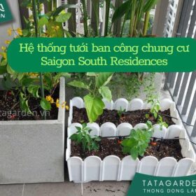 Hệ thống tưới nhỏ giọt tự động cho ban công chung cư Saigon South Residences