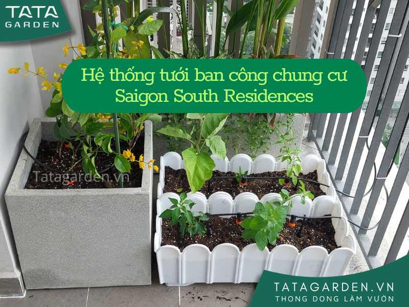 Hệ thống tưới nhỏ giọt tự động cho ban công chung cư Saigon South Residences