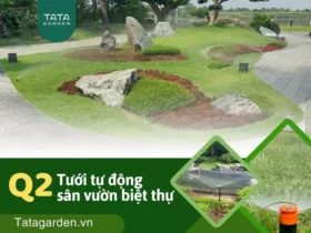 Thi công dự án tưới cây tự động cho sân vườn biệt thự tại quận 2