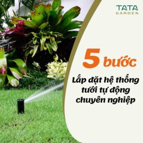 5 bước lắp đặt Hệ thống tưới cây tự động cho VƯỜN Biệt thự/ Nhà phố