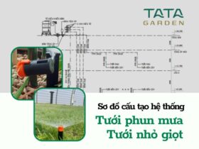 Sơ đồ cấu tạo hệ thống tưới phun mưa và nhỏ giọt đơn giản cho cảnh quan