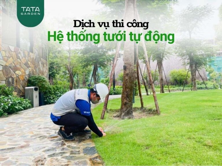 Dịch vụ thi công hệ thống tưới tự động – Miễn phí thiết kế