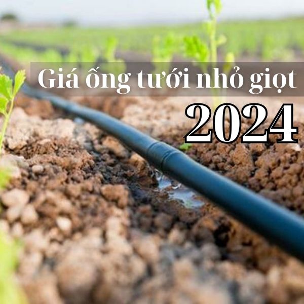 Giá ống tưới nhỏ giọt các loại từ bình dân đến chất lượng cao (Mới nhất 2024)