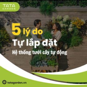 5 lý do bạn nên tự lắp đặt hệ thống tưới cây tự động