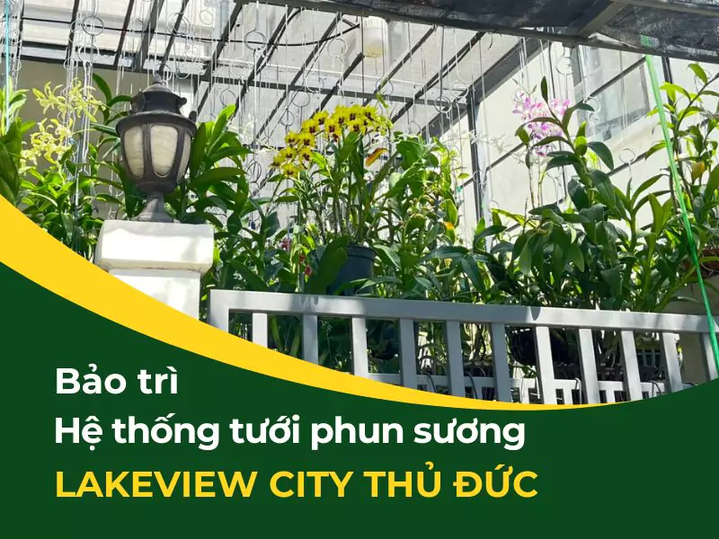 Bảo trì hệ thống tưới phun sương cho vườn lan ở Lakeview City Thủ Đức